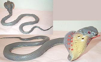 Purple Egyptian Cobra - Young