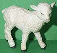 Lamb