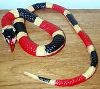 Coral Snake - Small