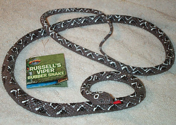 Russell's Viper