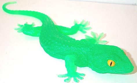 Day Gecko