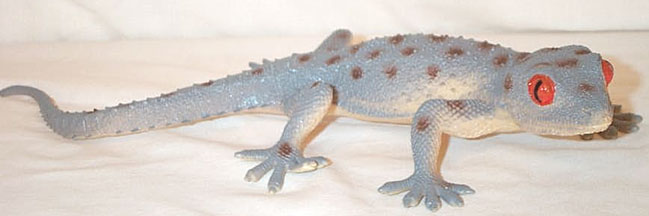 Tokay Gecko (hollow)