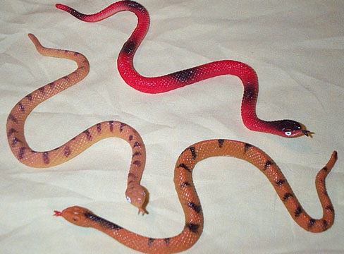 Cornsnakes/Coachwhip