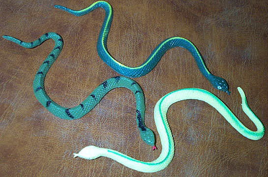 Ribbon Snakes and Pinesnake