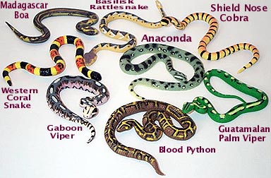 Exotic Snake Minis