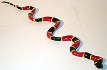 Coral Snake - 12\"