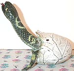 Python - Hatching