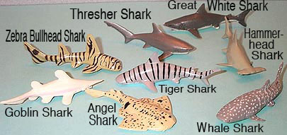 Shark Minis