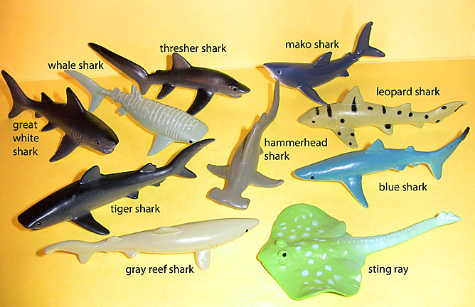 Shark Minis - 10