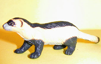 Ferret Mini