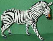 Zebra