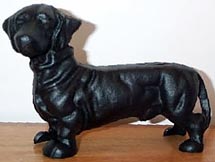 Dachshund