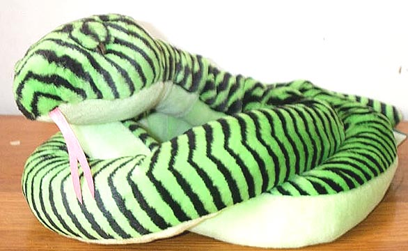 Boomslang Snake