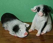 Pig Pair - Coldcast